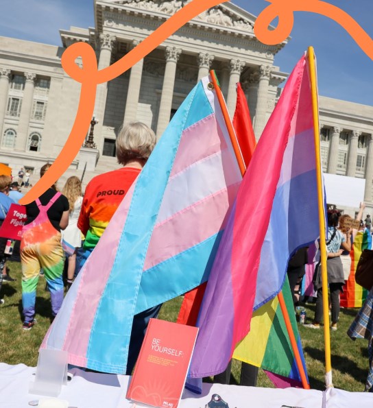 PROMO is Missouri’s LGBTQ+ public policy and advocacy organization defending the community’s rights and fighting to expand protections for more than 35 years. We mobilize thousands of Missourians — LGBTQ+ supporters, business and community leaders, legislators, and people from all backgrounds — every year to advocate and utilize their voices in the halls of the Missouri State Capitol and within their own communities.