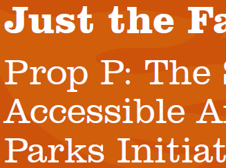 Just The Facts - Proposition P