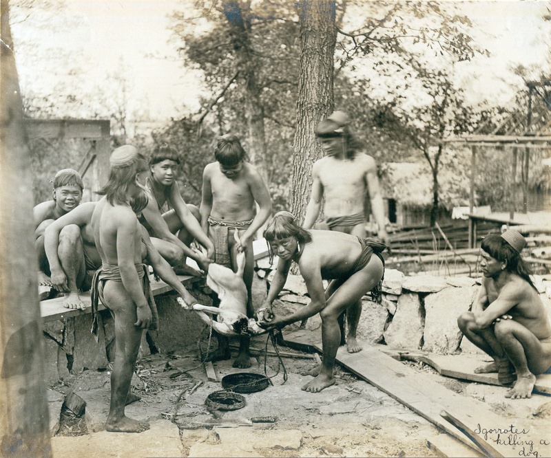Igorots Killing a Dog