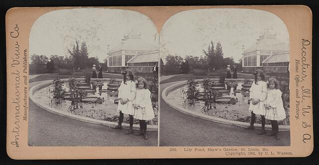 Lily Pond, Shaw's Garden, St. Louis, Mo.