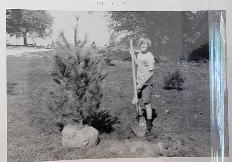 Community Planting in Creve Coeur park (4/4)