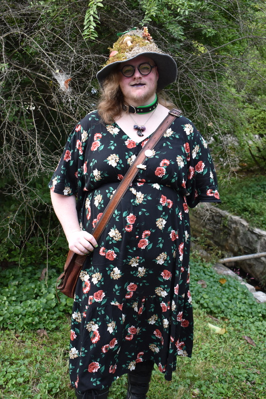 Hemlock Photo