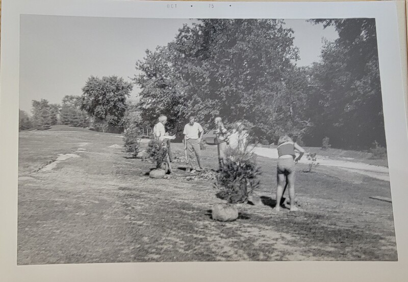 Community Planting in Creve Coeur park (2/4)