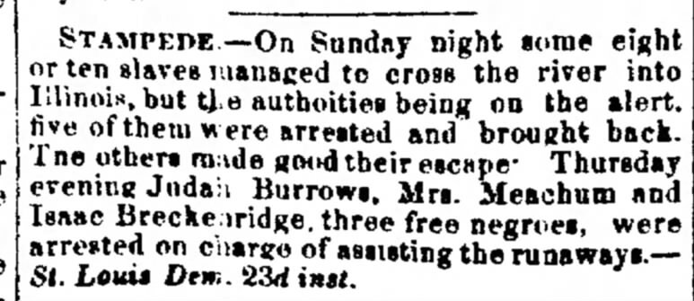 Stampede