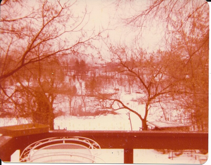 Childhood Photo of the Gallo Backyard