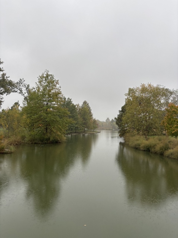 Wildlife Island