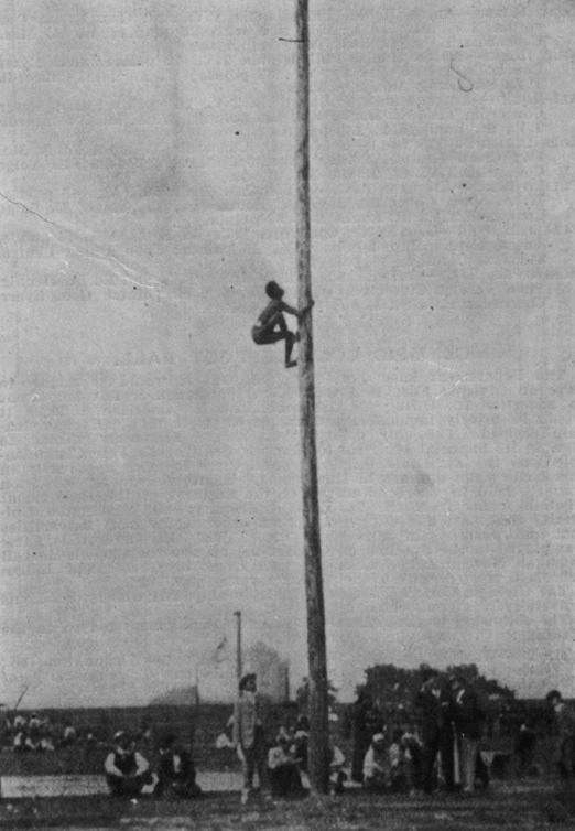 The Winner of the Pole Climbing Event