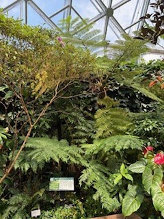 Missouri Botanical Garden