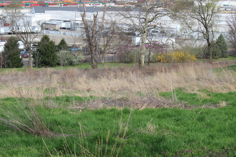 Green Burial Site (2)