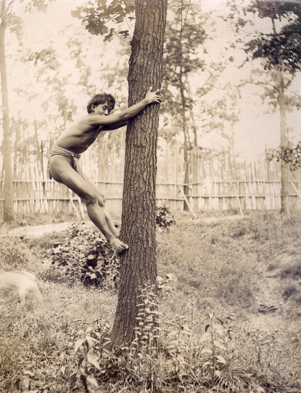 Igorot Climbing Tree