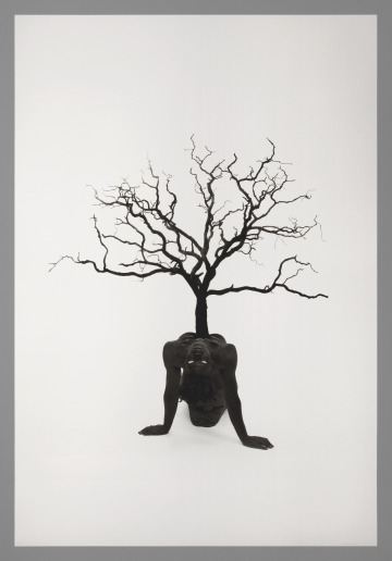 The Garden and the Guardian