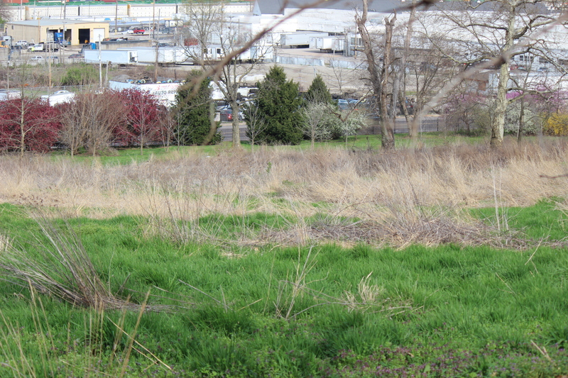 Green Burial Site