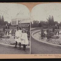 Lily pond, Shaw's garden, St. Louis, Mo.