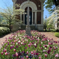 IMG_7794.jpg