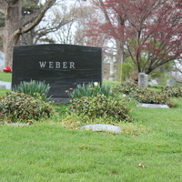 Ivy over graves with foot stone.JPG