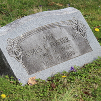 Flower iconography 3.JPG