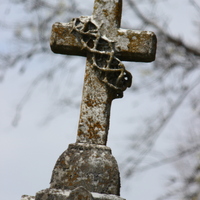 IMG_7928.JPG