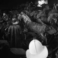 vpsitem17-fire at the den.jpg
