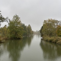 IMG_8431.jpg