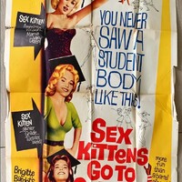 Sex Kittens Go To College.jpg