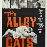 alley cats.jpg