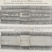 Brookes Slave Ship Plan