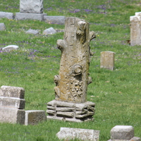IMG_7941.JPG