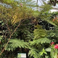 thumbnail_IMG_4261.jpg