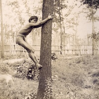 tree climb.jpg