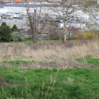 green burial site (2).JPG