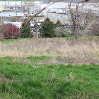 green burial site.JPG